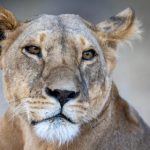 畅享88影视网在线影视,尽情观看热门影视剧 3k8wa