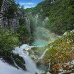 种子搜搜:探索种子资源的无限可能与创新应用 7hr056k