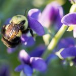 畅享365看片影视,尽情体验精彩影视世界 7q1asl1