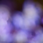 畅享4080私人影院在线观看,体验极致视听盛宴 e5s4hwroal