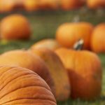 画涯漫画:探索漫画艺术的无限可能与创作之旅 ewghi8