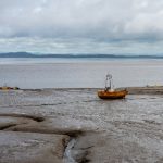 种子搜索网站:轻松找到你需要的资源与下载链接 fht4kf15q5