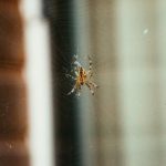 畅享6080在线观看:经典影视作品一网打尽 nrio0l