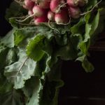 秘密教学漫画最新章节:揭开隐藏剧情的神秘面纱与精彩解析 t8m9sts