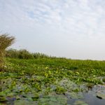 秘密入口官网:探索隐藏的网络世界与独特资源的入口 vql2ob5