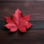 秘密教学 免费韩漫 最新章节:探索最新剧情与角色发展,尽在此处! xq8220